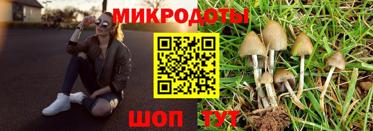 Воркута  Псилоцибиновые грибы прущие грибы  Вход с VPN 