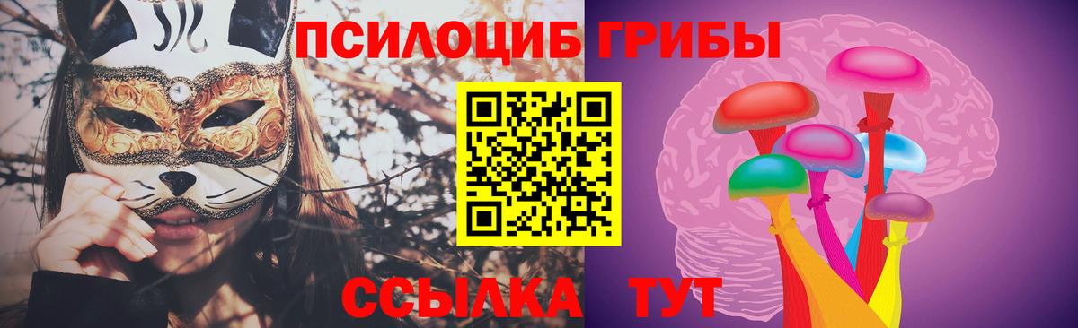 Галлюциногенные грибы Cubensis Воркута